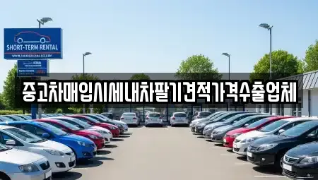 대구 달서구 월성동 중고차매입 전문 중고차매입시세내차팔기견적가격수출업체