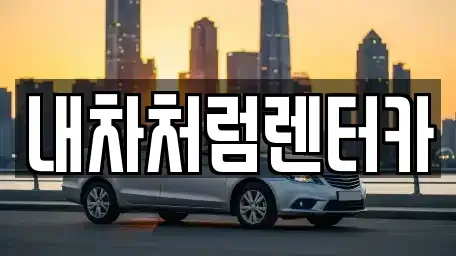 대구 북구 고성동2가 렌트카 전문 내차처럼렌터카