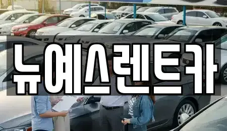 대구 북구 고성동2가 렌트카 전문 뉴예스렌트카