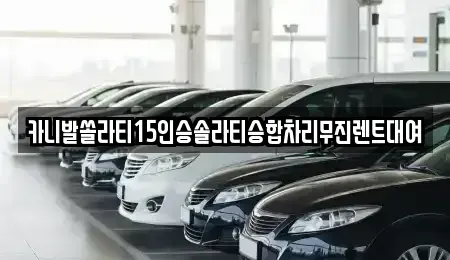 대구 북구 고성동2가 렌트카 전문 카니발쏠라티15인승솔라티승합차리무진렌트대여