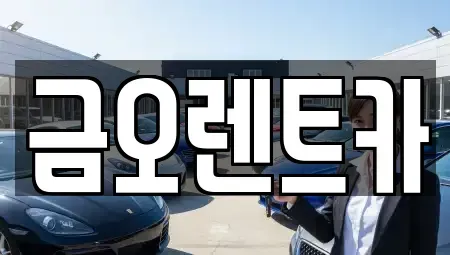 대구 북구 고성동3가 장기렌트카 전문 금오렌트카
