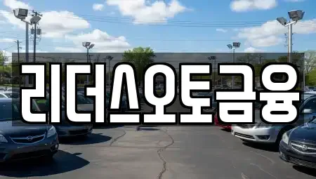 대구 북구 고성동3가 장기렌트카 전문 리더스오토금융