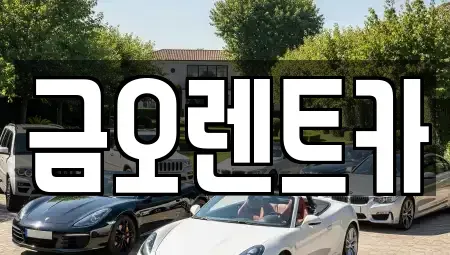 대구 북구 금호동 렌트카 전문 금오렌트카
