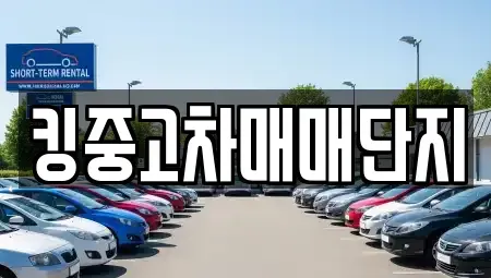 대구 북구 금호동 중고차 전문 킹중고차매매단지