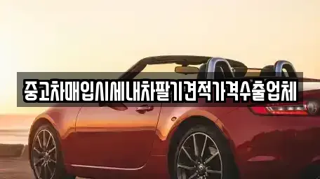 대구 북구 금호동 중고차매입 전문 중고차매입시세내차팔기견적가격수출업체