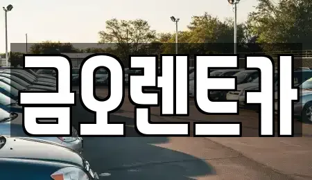 대구 북구 대현동 단기렌트카,중고차매입,중고차매매,중고차,렌트카,장기렌트카