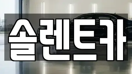 대구 북구 대현동 장기렌트카 전문 솔렌트카