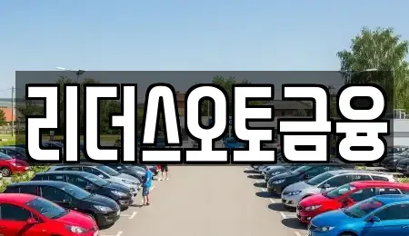 대구 서구 원대동3가 장기렌트카 전문 리더스오토금융