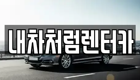 대구 수성구 노변동 렌트카 전문 내차처럼렌터카