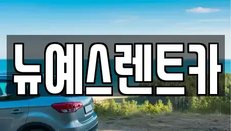 대구 수성구 노변동 렌트카 전문 뉴예스렌트카