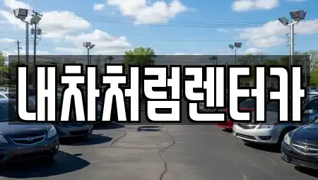 대구 수성구 이천동 렌트카 전문 내차처럼렌터카