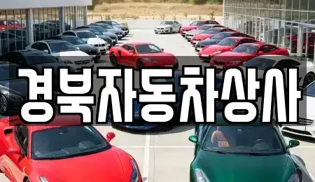 대구 수성구 이천동 장기렌트카,중고차,렌트카,단기렌트카,중고차매입,중고차매매