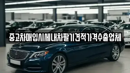 대구 중구 삼덕동3가 중고차매입 전문 중고차매입시세내차팔기견적가격수출업체