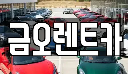 대구 중구 서문로1가 렌트카 전문 금오렌트카
