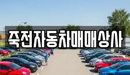 대구광역시 달서구 감삼동 중고차 전문 죽전자동차매매상사