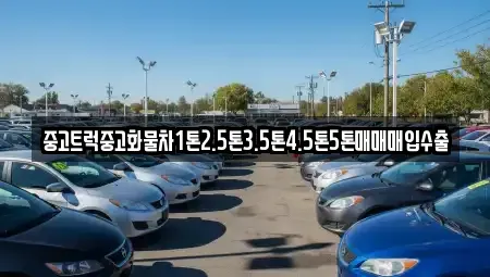 대구광역시 달서구 감삼동 중고차 전문 중고트럭중고화물차1톤2.5톤3.5톤4.5톤5톤매매매입수출