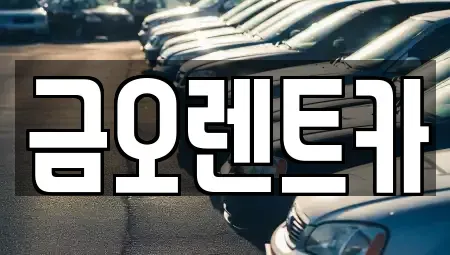 대구광역시 달서구 상인동 렌트카 전문 금오렌트카