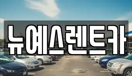 대구광역시 달서구 상인동 렌트카 전문 뉴예스렌트카