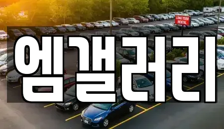 대구광역시 달서구 장기동 중고차매매 전문 엠갤러리
