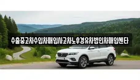 대구광역시 달성군 다사읍 중고차매매 전문 수출중고차수입차매입사고차노후경유차법인차매입센타