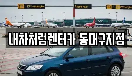 대구광역시 동구 신암동 렌트카 전문 내차처럼렌터카 동대구지점