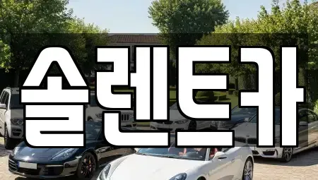 대구광역시 동구 신암동 장기렌트카 전문 솔렌트카