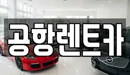 대구광역시 북구 구암동 렌트카 전문 공항렌트카