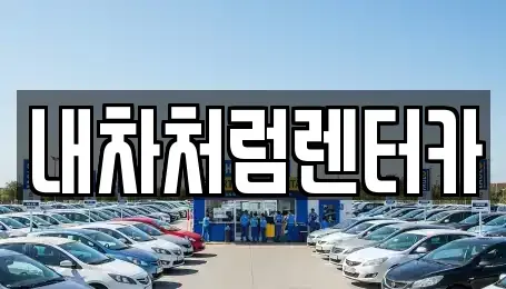 대구광역시 수성구 대흥동 렌트카 전문 내차처럼렌터카