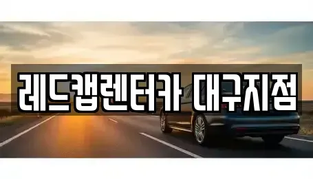 대구광역시 수성구 대흥동 장기렌트카 전문 레드캡렌터카 대구지점