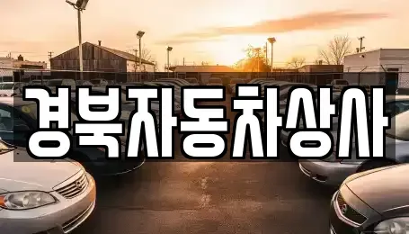 대구광역시 수성구 대흥동 중고차매매,단기렌트카,중고차매입,장기렌트카,중고차,렌트카