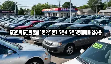 대구광역시 수성구 대흥동 중고차매매 전문 중고트럭중고화물차1톤2.5톤3.5톤4.5톤5톤매매매입수출
