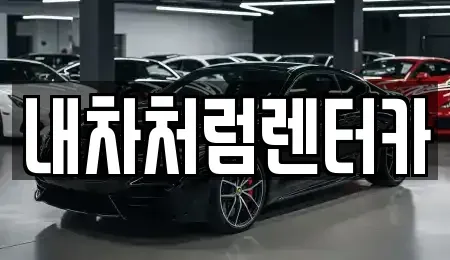 대구광역시 수성구 두산동 렌트카 전문 내차처럼렌터카