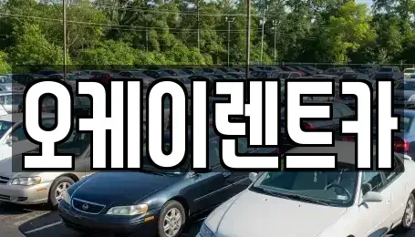 대구광역시 수성구 두산동 렌트카 전문 오케이렌트카