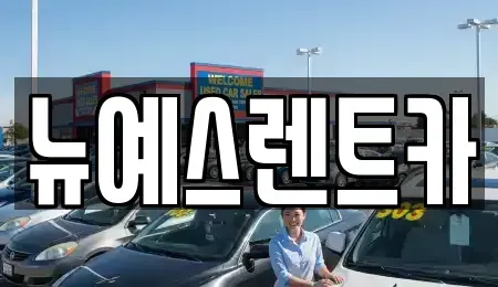 대구광역시 중구 동산동 렌트카 전문 뉴예스렌트카
