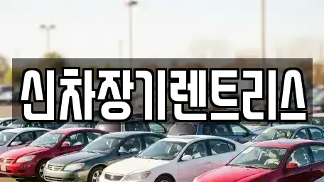 대구광역시 중구 동산동 렌트카 전문 신차장기렌트리스