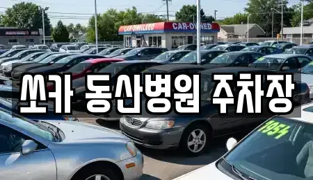 대구광역시 중구 동산동 렌트카 전문 쏘카 동산병원 주차장