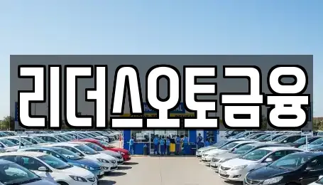 대구광역시 중구 동산동 장기렌트카 전문 리더스오토금융