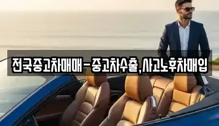 대구광역시 중구 동산동 중고차매입 전문 전국중고차매매-중고차수출,사고노후차매입