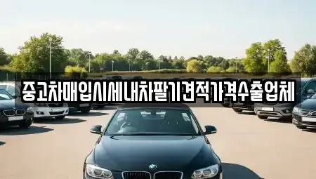 대구광역시 중구 동산동 중고차매입 전문 중고차매입시세내차팔기견적가격수출업체