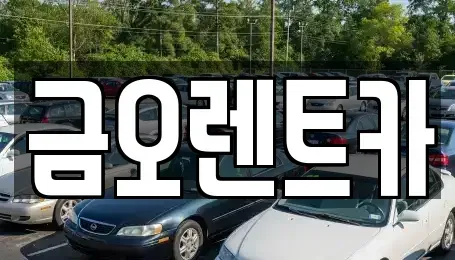 대구광역시 중구 문화동 단기렌트카 전문 금오렌트카