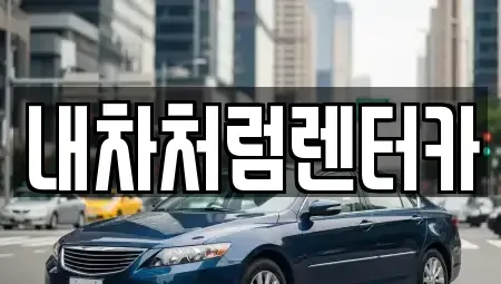 대구광역시 중구 문화동 렌트카 전문 내차처럼렌터카