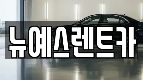 대구광역시 중구 문화동 렌트카 전문 뉴예스렌트카