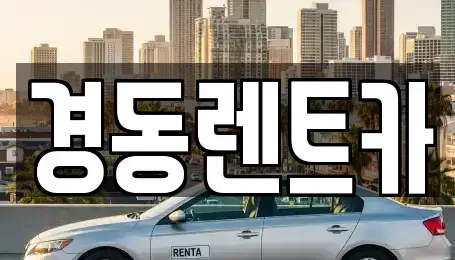 대구광역시 중구 완전동 렌트카 전문 경동렌트카