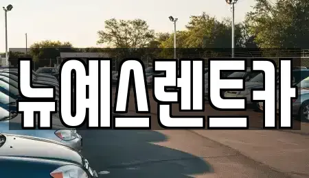 대구광역시 중구 완전동 렌트카 전문 뉴예스렌트카