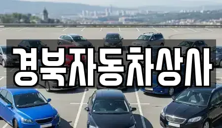 대구광역시 중구 완전동 중고차 전문 경북자동차상사