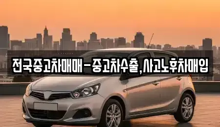 대구광역시 중구 완전동 중고차 전문 전국중고차매매-중고차수출,사고노후차매입