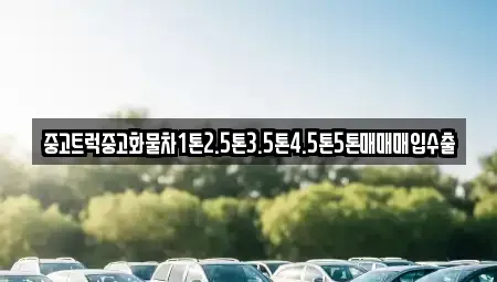 대구광역시 중구 완전동 중고차 전문 중고트럭중고화물차1톤2.5톤3.5톤4.5톤5톤매매매입수출