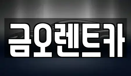 대구광역시 중구 태평로3가 장기렌트카 전문 금오렌트카