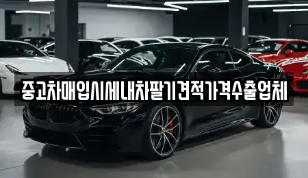 대구광역시 중구 태평로3가 중고차 전문 중고차매입시세내차팔기견적가격수출업체