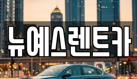 대구광역시 중구 향촌동 렌트카 전문 뉴예스렌트카